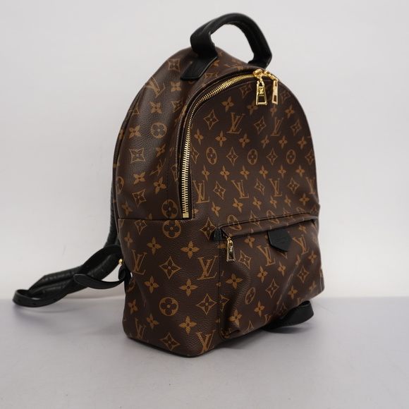 Louis Vuitton Monogram Palm Springs MM Backpack - Picture 2 of 7